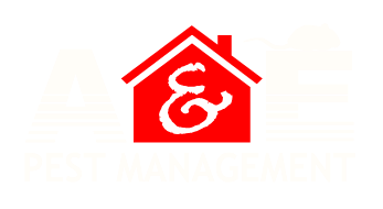 A&E Pest Management